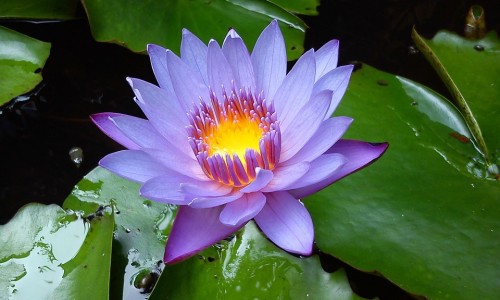 脚出汗手出汗怎么治才能除根-【脚出汗臭用什么药效果最好】脚出汗手出汗是什么原因 - 脚出汗适合穿丝袜吗网